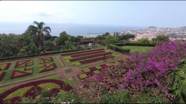 Funchal - Botanic garden