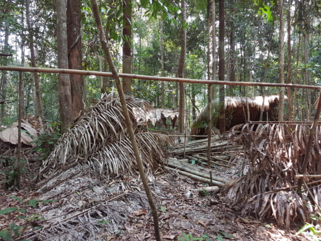 Taman Negara - Opuštěná vesnice domorodců